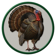 Wild Turkey hat button side patch: a realistic Wild Turkey portrait under a clear glass dome. Game & Showy Birds collection.