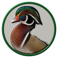 Wood Duck hat button side patch: a realistic Wood Duck portrait under a clear glass dome. Water & Shore Birds collection.
