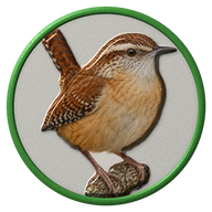 Carolina Wren hat button side patch: a realistic Carolina Wren portrait under a clear glass dome. Backyard Birds collection.