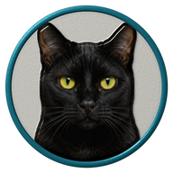 Black cat hat button side patch: a realistic Black cat portrait under a clear glass dome. Cats collection.