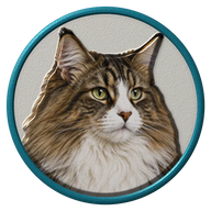 Norwegian Forest Cat hat button side patch: a realistic Norwegian Forest Cat portrait. Cats collection.