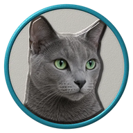 Russian Blue hat button side patch: a realistic Russian Blue cat portrait under a clear glass dome. Cats collection.