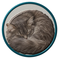 Sleepy grey cat hat button side patch: a realistic Sleepy grey cat portrait under a clear glass dome. Cats collection.