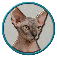 Sphynx hat button side patch: a realistic Sphynx cat portrait under a clear glass dome. Cats collection.