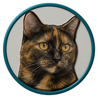 Tortoiseshell hat button side patch: a realistic Tortoiseshell portrait under a clear glass dome. Cats collection.