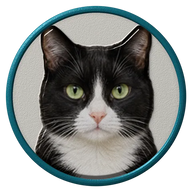 Tuxedo hat button side patch: a realistic Tuxedo portrait under a clear glass dome. Cats collection.