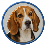 Beagle hat button side patch: a realistic Beagle portrait under a clear glass dome. Dogs collection.