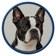 Boston Terrier hat button side patch: a realistic Boston Terrier portrait under a clear glass dome. Dogs collection.