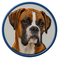 Boxer hat button side patch: a realistic Boxer portrait under a clear glass dome. Dogs collection.
