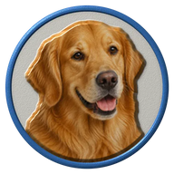 Golden Retriever hat button side patch: a realistic Golden Retriever portrait under a clear glass dome. Dogs collection.