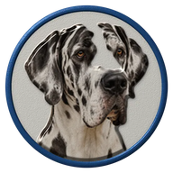 Great Dane hat button side patch: a realistic Great Dane portrait under a clear glass dome. Dogs collection.
