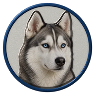 Siberian Husky hat button side patch: a realistic Siberian Husky portrait under a clear glass dome. Dogs collection.
