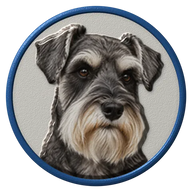 Miniature Schnauzer hat button side patch: a realistic Miniature Schnauzer portrait. Dogs collection.