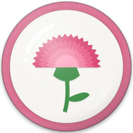Carnation hat button side patch: a carnation, January's birth flower on a white domed button. Birth-Month Flowers collection.