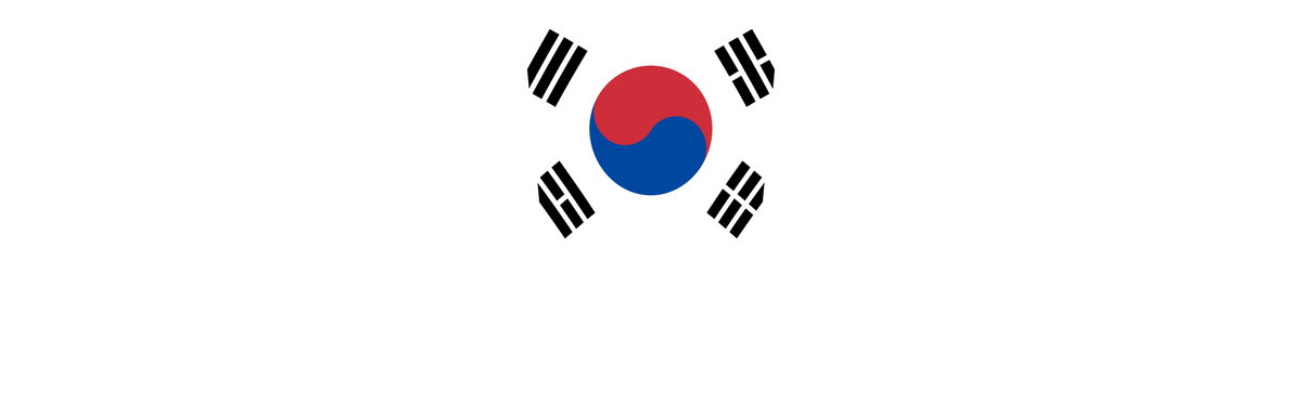 South Korea flag rear patch, curved for the back of a cap