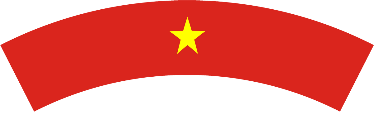 Vietnam flag rear patch, curved for the back of a cap