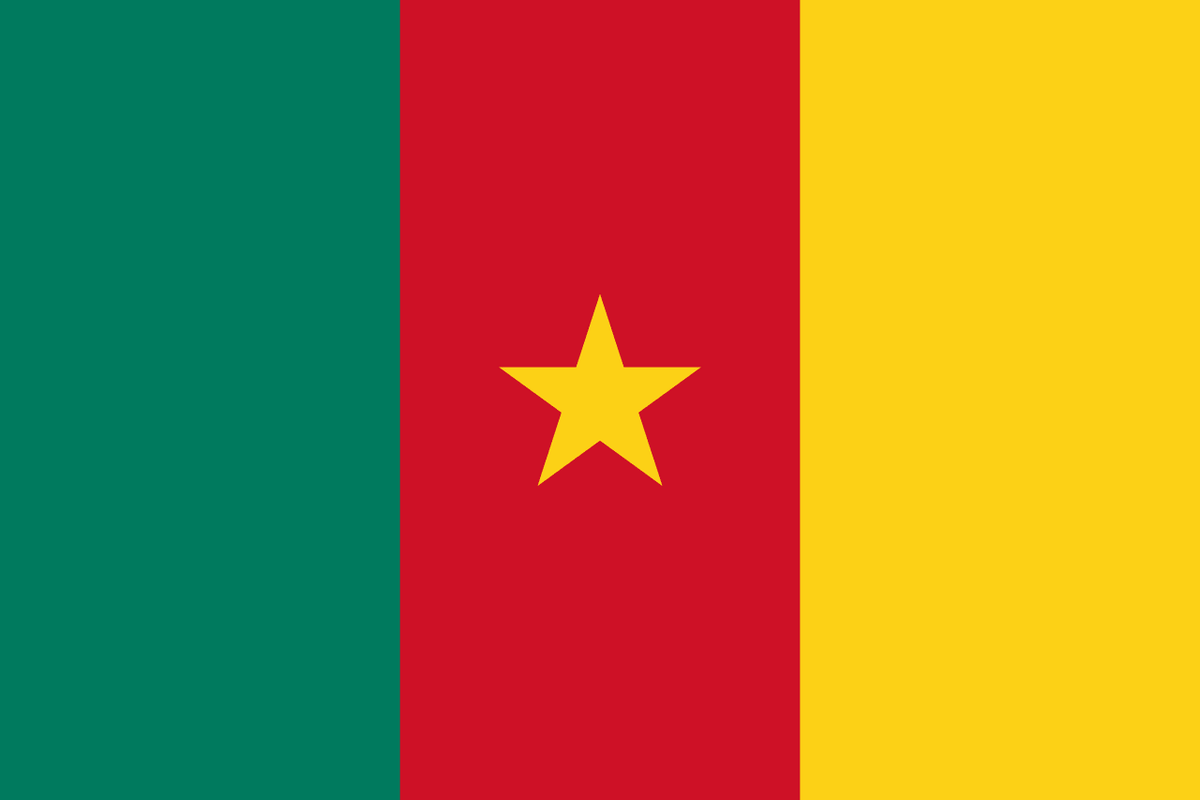 Cameroon flag side patch for hats
