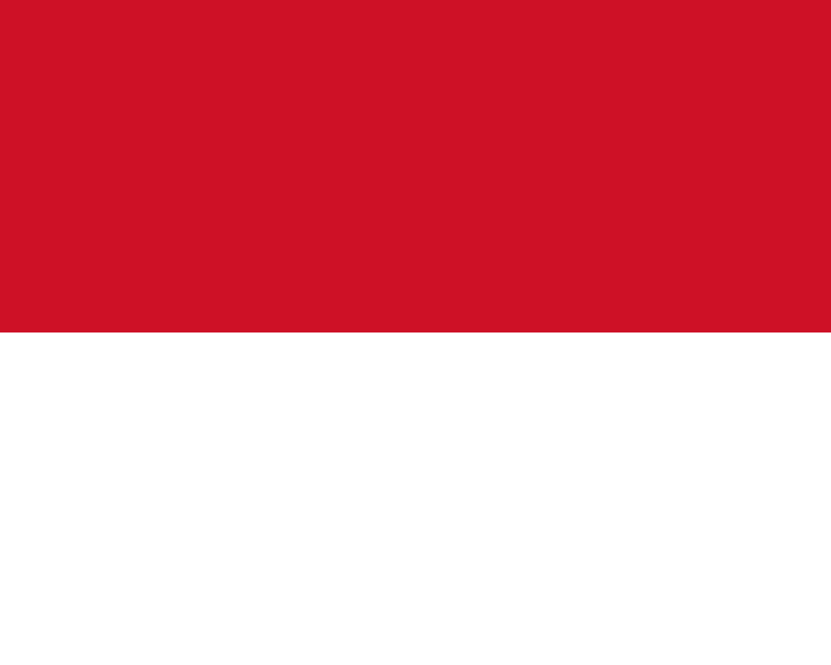 Monaco flag side patch for hats
