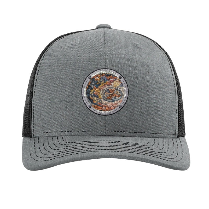 Petrified Forest National Park patch hat in Heather Grey/Black — petrified log cross-section badge on a Richardson 112 trucker cap