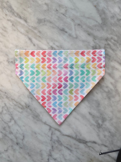 Personalized Dog Bandanas - Spring Theme Designs